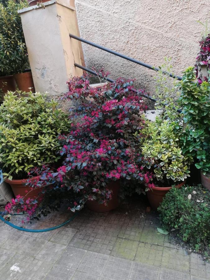 Tra Gianicolo E Trastevere Рим Экстерьер фото