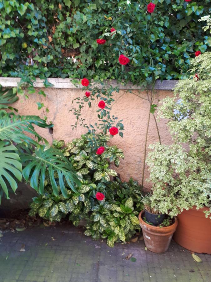 Tra Gianicolo E Trastevere Рим Экстерьер фото